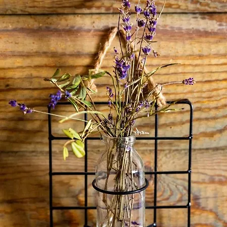 Casa de Férias Nuustakumajad *