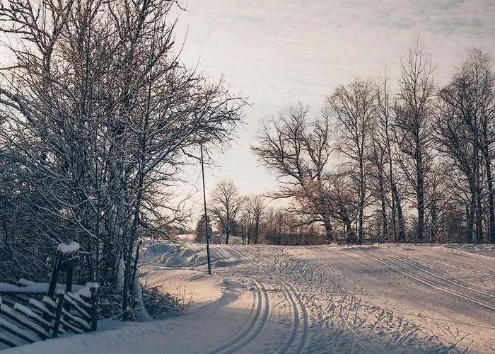 Nuustakumajad بيت للعطل