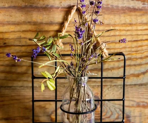 بيت للعطل Nuustakumajad *